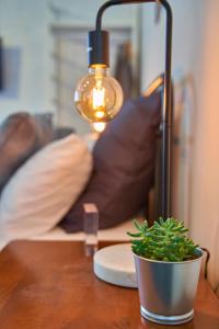 墨尔本The Blender Loft的一张桌子上放着一盏灯和一棵盆植物