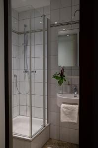 埃朗根historic Apart的带淋浴和盥洗盆的浴室