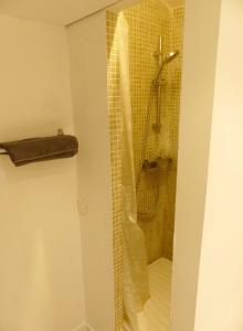 马赛Dépendance sainte Anne的浴室里设有玻璃门淋浴
