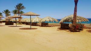 达哈布圣詹姆斯达哈卜景观度假村的一片带一些草伞和海洋的海滩