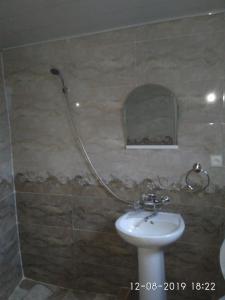 卡兹贝吉Kaxa Shorena Guest-House的一间带水槽和淋浴的浴室
