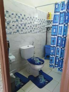 伊夫兰Chalet de la montagne的浴室设有卫生间和蓝色的浴帘。