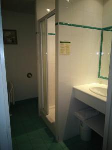 Aulnay唐琼酒店的带淋浴和盥洗盆的浴室