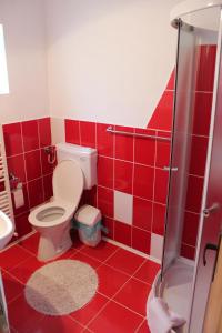 西蒙American Dream的红色的浴室设有卫生间和淋浴。
