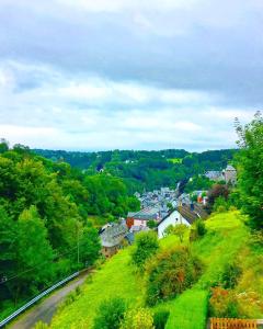 A home with a view in old Monschau :)鸟瞰图
