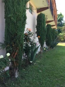 瓦斯卡坎波列恩佐查罗1号酒店的院子里有树木和植物的房子