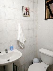 科伊艾科Patagon Backpackers的白色的浴室设有水槽和卫生间。
