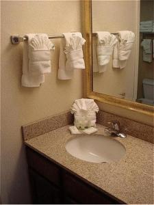 普兰菲尔德印第安纳波利斯机场住桥套房酒店的浴室配有盥洗盆、镜子和毛巾