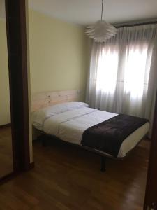 坎加斯-德奥尼斯CONOCE CANGAS DE ONIS的卧室内的一张床铺,带窗户