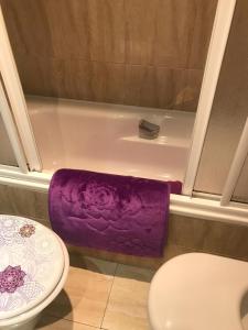 坎加斯-德奥尼斯CONOCE CANGAS DE ONIS的浴室设有卫生间旁的紫色浴缸