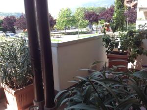 拉伊韦斯HOME DI CRISTINA的阳台,盆里放着一束植物