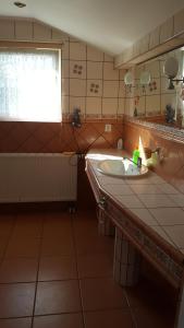 DebrznoU Bola的一间带水槽和窗户的浴室