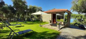 拜昂Casa de Mirão的一个带椅子和遮阳伞的花园以及一座房子