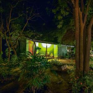 哈伯勒内蓝鸟旅游度假酒店的夜晚在树林里的房子