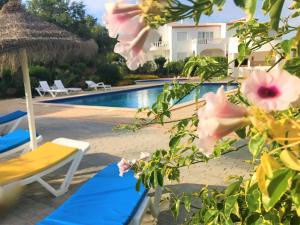 卢斯Casas do Ramalhete的享有别墅的游泳池景致。