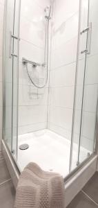 特里贝格H-Apartment 1的浴室里设有玻璃门淋浴