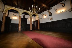 奥帕莱尼察Pałac w Porażynie的大房间,有红色地毯和吊灯