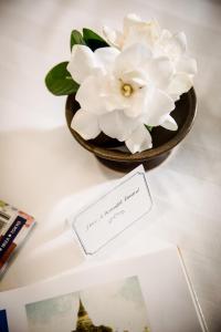 清迈纳尼兰德浪漫精品度假酒店 的花瓶,上面有白色的花朵