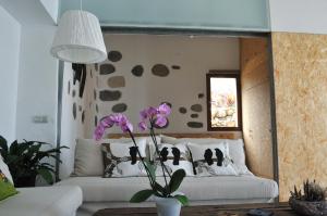 San Juan de la RamblaEl Susurro Ecoliving_VILLA PARDELA的相册照片