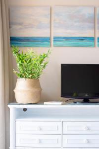 莫罗德哈布雷Apartamentos Punta Marina by LIVVO的配有电视机和植物的白色梳妆台