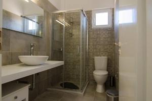 古卡斯特隆Giorgos villa的带淋浴、卫生间和盥洗盆的浴室