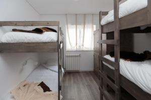埃斯波森迪The Spot Hostel Ofir的客房设有两张双层床和一扇窗户。