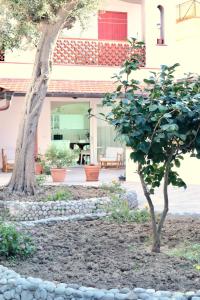 马萨鲁布朗斯Masseria Torca - Isca的一座种有树和房子的花园