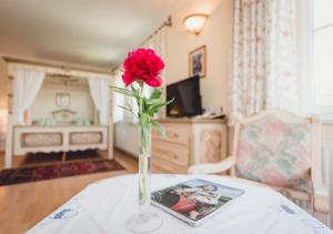 Kammern im Liesingtal兰德加斯托酒店的一张桌子上花瓶里的一个红玫瑰