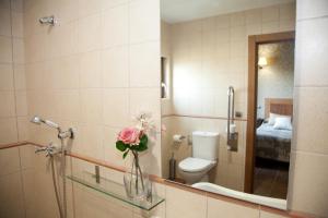 Olleros de Pisuerga奇尔达酒店的一间带卫生间和花瓶的浴室