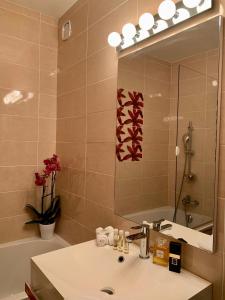 圣拉提尔棕色酒店的一间带水槽和镜子的浴室