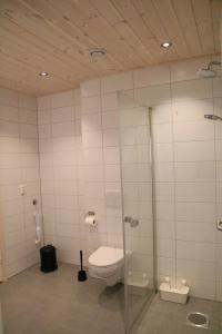 VossestrandMyrkdalen Resort Årmotssteien的一间带卫生间和玻璃淋浴间的浴室