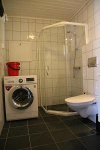VossestrandMyrkdalen Resort Nedre Byggardslii apartment的一间带洗衣机和卫生间的浴室