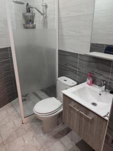 丹吉尔Appartement hyper centre de Tanger (Boulevard Pasteur)的浴室配有卫生间、盥洗盆和淋浴。