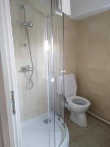 赫维兹黑维兹瑟恩公寓式酒店的一间带卫生间和玻璃淋浴间的浴室