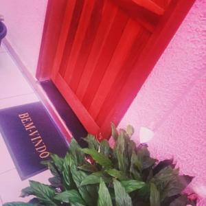 戈亚尼亚POUSADA EXECUTIVE EXPRESS的坐在红色盒子前的盆栽植物