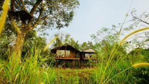 锡吉里亚Chena Huts Eco Resort的田间中的一个树屋