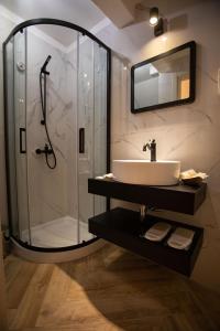 圣贝内代托-德尔特龙托AL 54 Accommodation的一间带水槽和淋浴的浴室