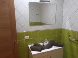 圣克鲁斯-德特内里费森提科公寓 的绿色和白色的浴室设有水槽和镜子