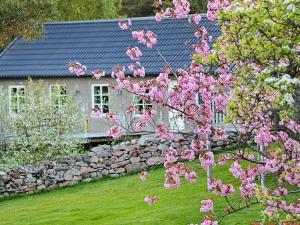 瓦尔科瑞尔6 person holiday home in VAREKIL的一座石墙房子和一棵开粉红色花的树