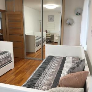 普雷绍夫Apartment Tekeľova 95m2的一间卧室配有两张床和镜子