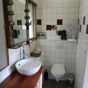 Blésignac旦斯蕾斯宝斯一室公寓的一间带水槽和卫生间的浴室