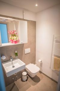 加尔达湖滨菲兰达酒店的一间带水槽和卫生间的浴室以及窗户。