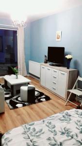 克卢日-纳波卡Ultra Central - Stunning Two Bedroom Apartment的客厅设有蓝色的墙壁和电视。