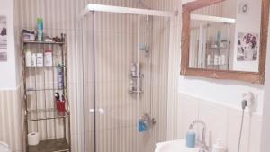 克卢日-纳波卡Ultra Central - Stunning Two Bedroom Apartment的带淋浴的浴室,配有水槽和镜子