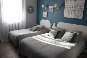 圣雷米普罗旺斯花花小木屋酒店的蓝色墙壁客房的两张床