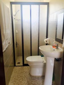 邦劳Lindstrom's Inn的浴室配有卫生间、盥洗盆和淋浴。
