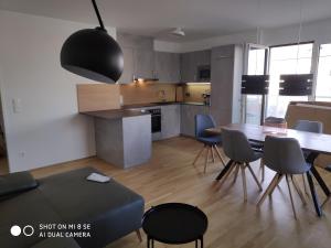 施韦夏特City Appartement Wien-Schwechat的厨房以及带桌椅的用餐室。