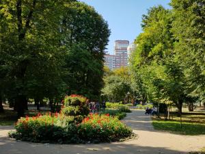 基辅Sunflower Apartment near Kiev airport & railway station & center city!!!的相册照片