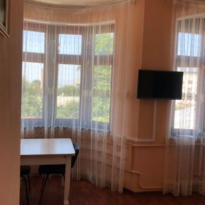 基兹洛沃茨克塞美尼奥迪旅馆的客房设有2扇窗户、书桌和电视。
