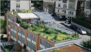 斯图加特阿巴理想酒店的公寓大楼的屋顶设有花园